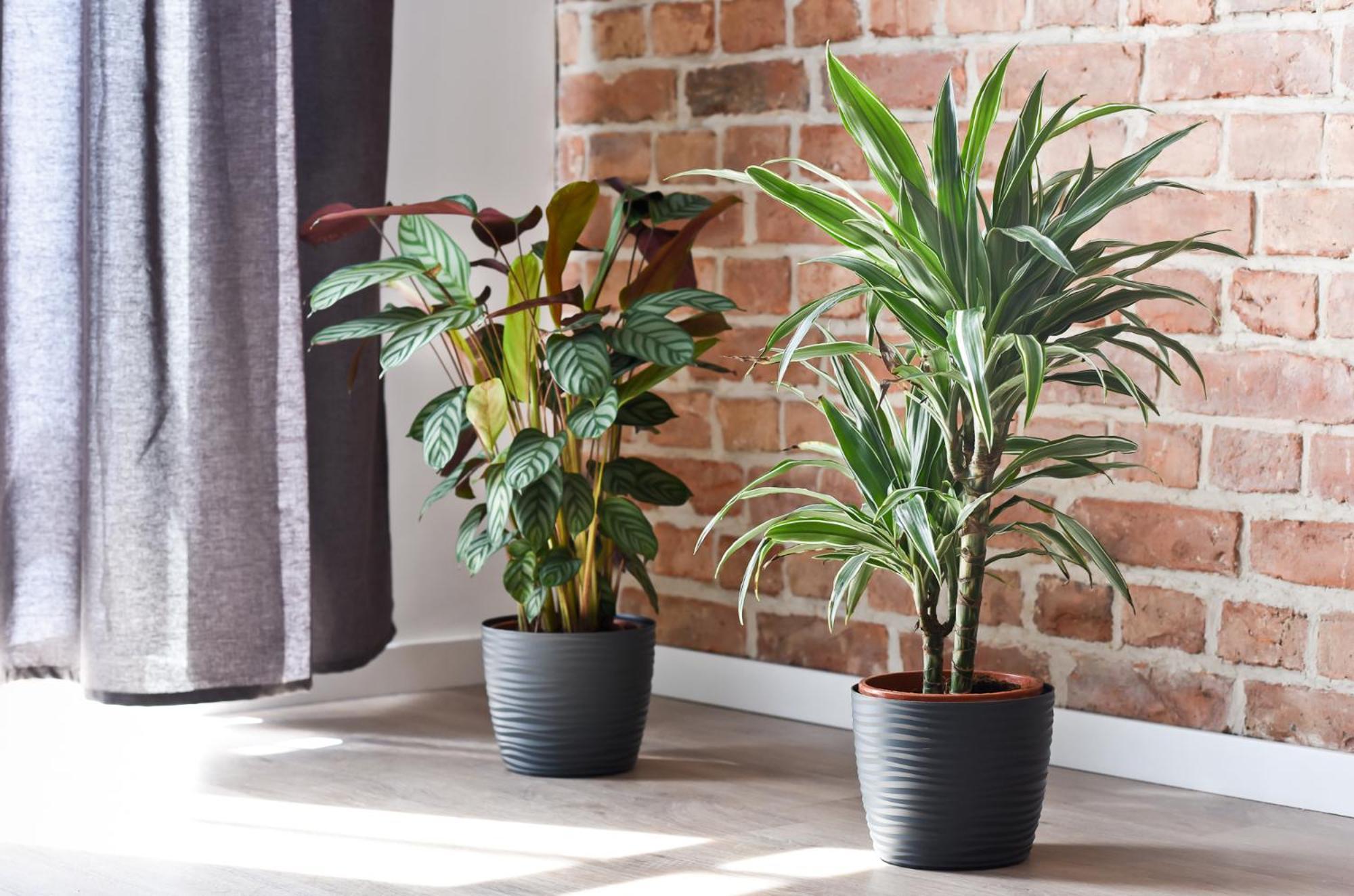 Green Garden Apartment Torun Luaran gambar